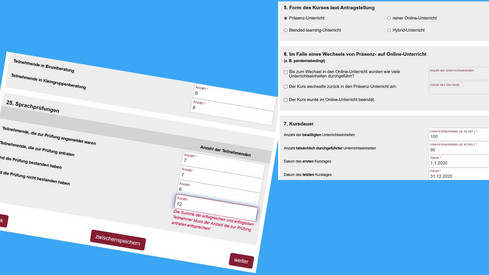 Evaluation der Landessprachkurse Rheinland-Pfalz Evaluation der Landessprachkurse Rheinland-Pfalz