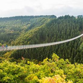 Best Practices Die Hängeseilbrücke Geierlay im Hunsrück