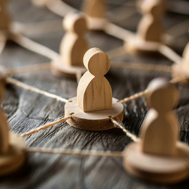 Organisationsplan